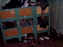gal/sinaia/poze Ady_1/TN_S2400071.JPG